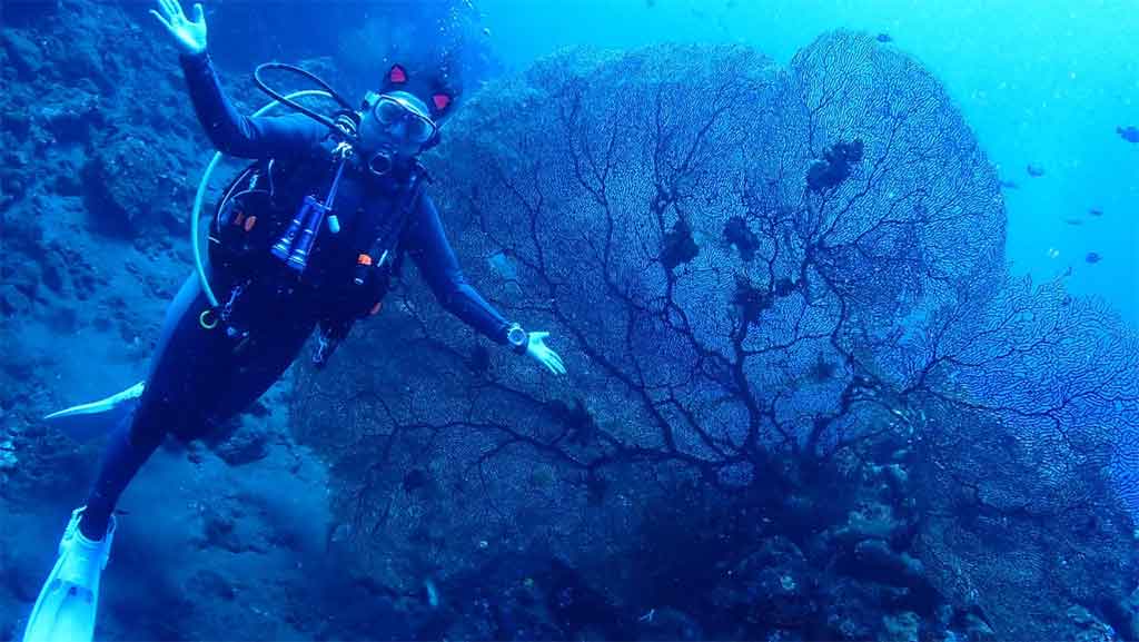 tulamben diving package kitty diver-liberty wreck dive
